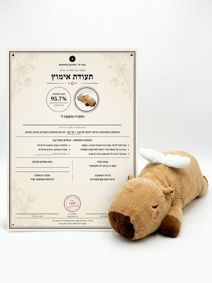 ניסים- קפיברה מלאך
