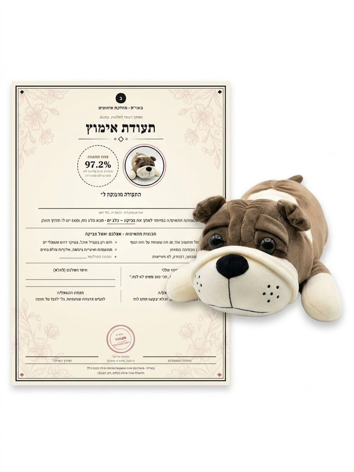 אליעזר- כלב בולדוג