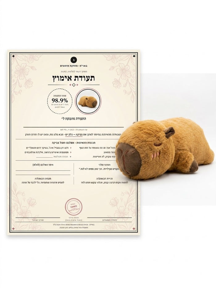 מנחם-קפיברה בצ׳יל