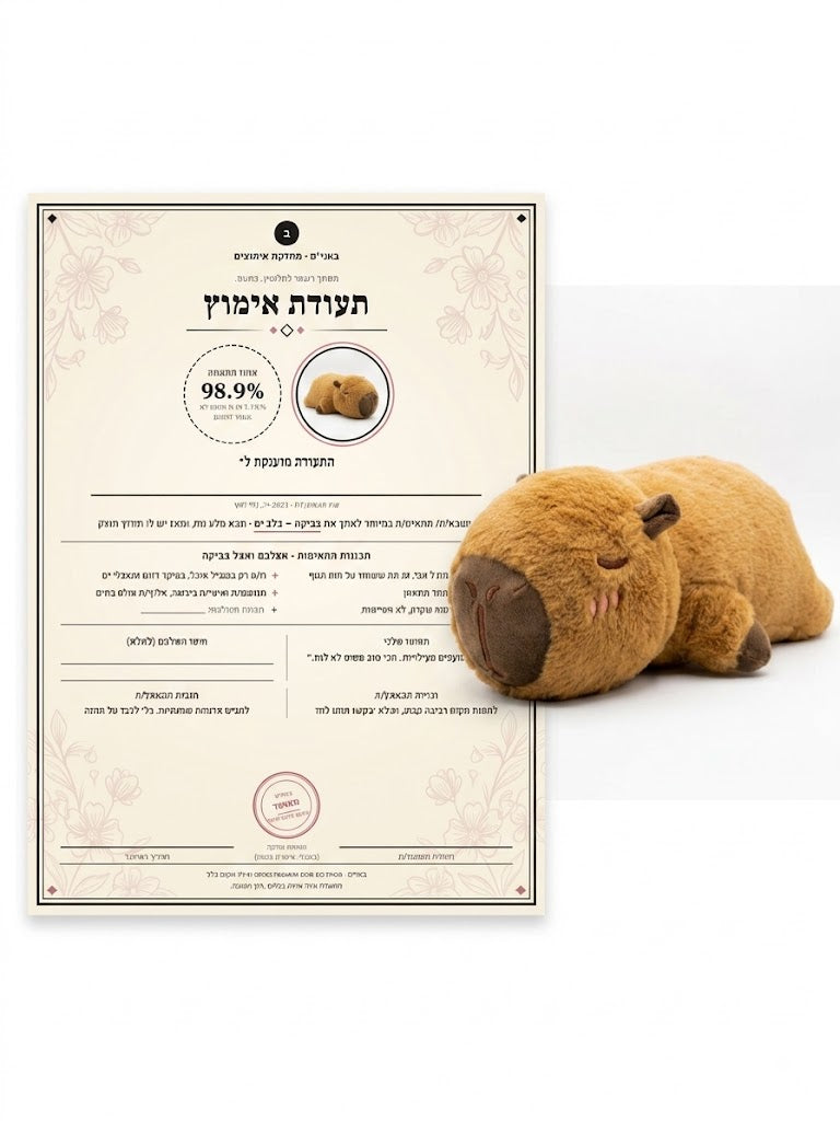 מנחם-קפיברה בצ׳יל
