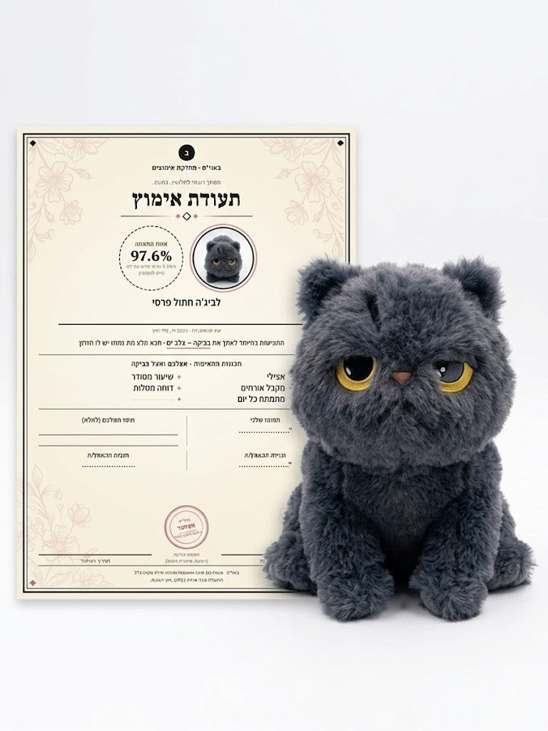 כורש- החתול הפרסי