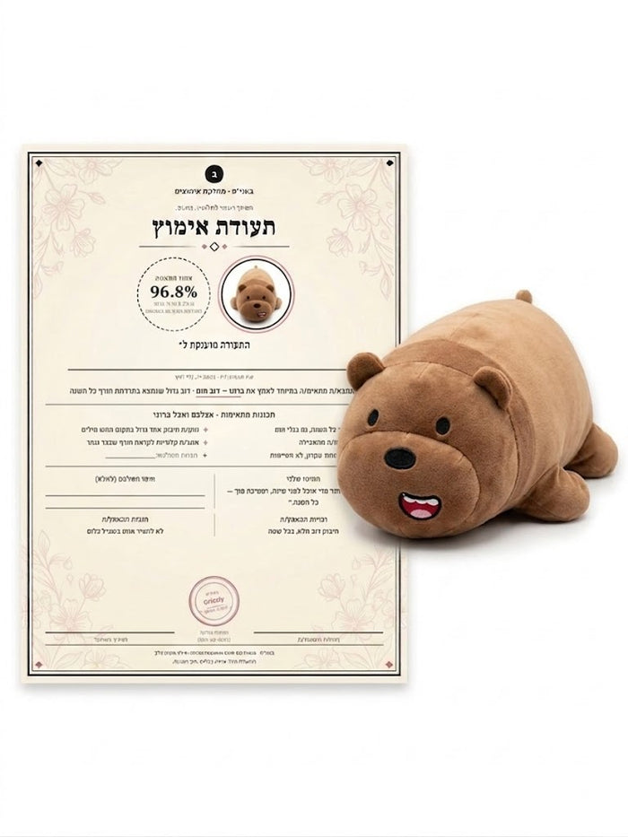 ברונו-  דוב חום