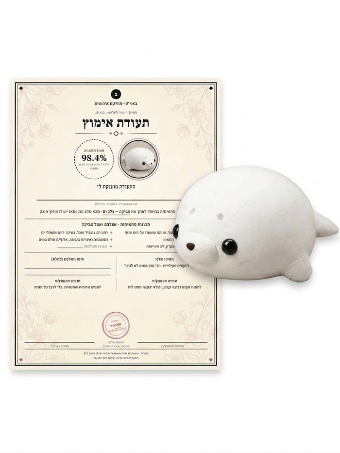 צביקה- כלב ים