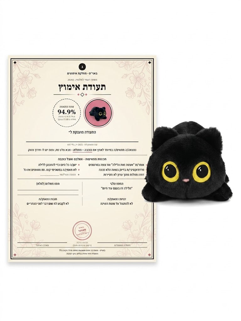 כוכבה- חתולת הלילה